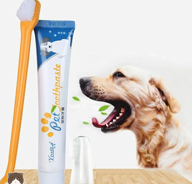 🐾 Bộ Bàn Chải & Kem Đánh Răng Cho Chó Mèo Pet Joothpaste