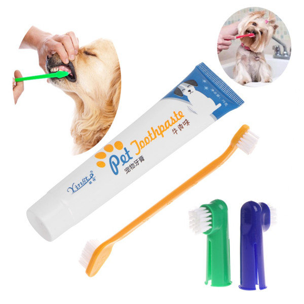 🐾 Bộ Bàn Chải & Kem Đánh Răng Cho Chó Mèo Pet Joothpaste