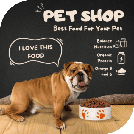Cunstores – Pet Shop Spa Th&uacute; Cưng H&agrave; Nội