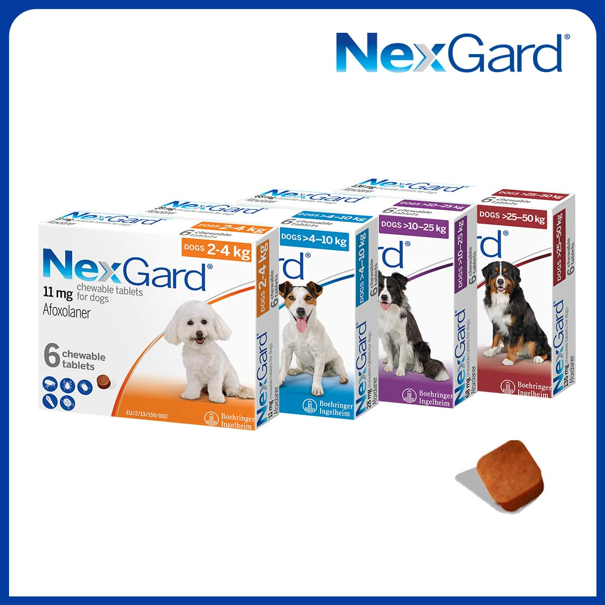 NexGard &ndash; Vi&ecirc;n nhai h&agrave;ng th&aacute;ng - Ph&ograve;ng v&agrave; trị ngoại k&yacute; sinh tr&ugrave;ng cho ch&oacute;