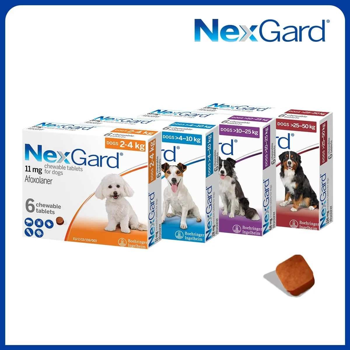 NexGard &ndash; Vi&ecirc;n nhai h&agrave;ng th&aacute;ng - Ph&ograve;ng v&agrave; trị ngoại k&yacute; sinh tr&ugrave;ng cho ch&oacute;