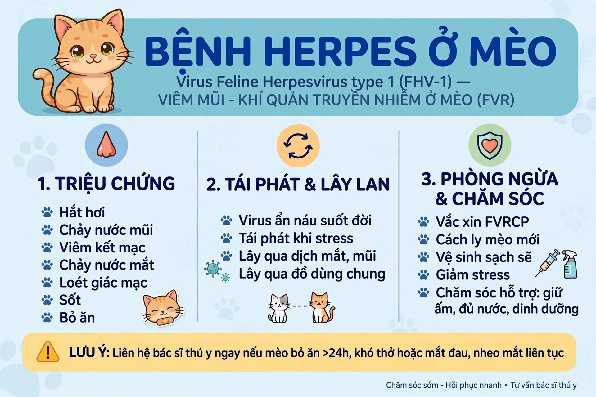 Cunstores – Pet Shop Spa Th&uacute; Cưng H&agrave; Nội
